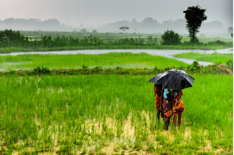 मान्सून